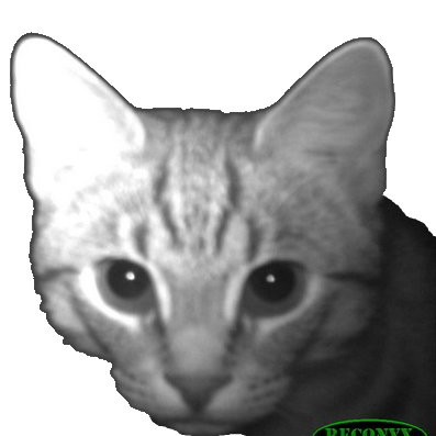 :trailcamcatt: