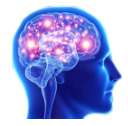xf_transcendentalbrain