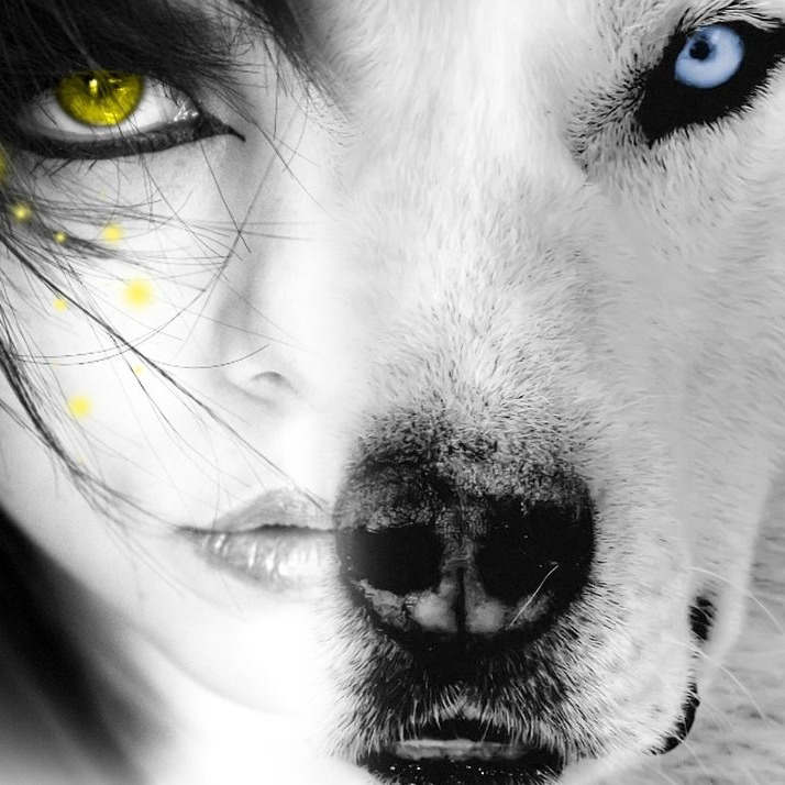 salt@social.xenofem.me