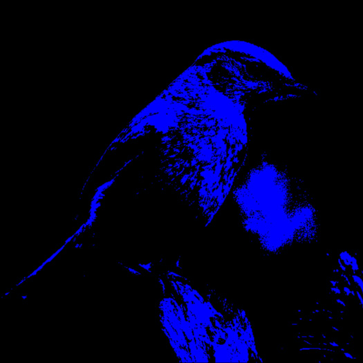 realpetrateal@social.xenofem.me