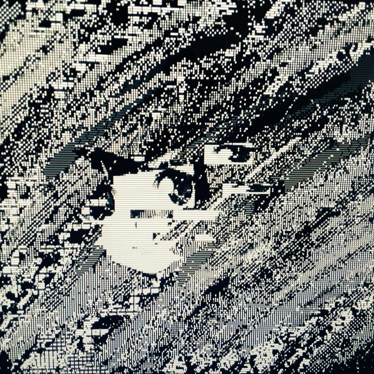 fisk@social.xenofem.me